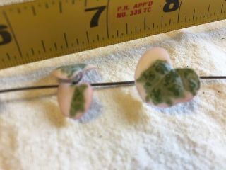 Variegated Ceropegia Woodii String Of Hearts Rare Succulent Cutting With Tubers