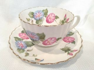 Radfords Vintage Tea Cup And Saucer - Bone China - Made In England