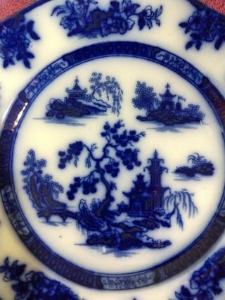 Antique Flow Blue Pattern Chapoo Plate John Wedge Wood,  England 1847 - 60