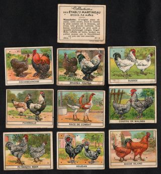 Chicken Breeds Rare French Card Set (series 7) Martineau 1930s Poultry Hen