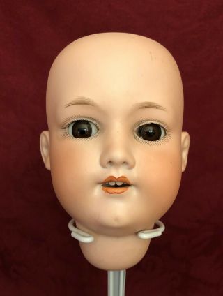 Antique German Bisque Doll Head - Am 390n