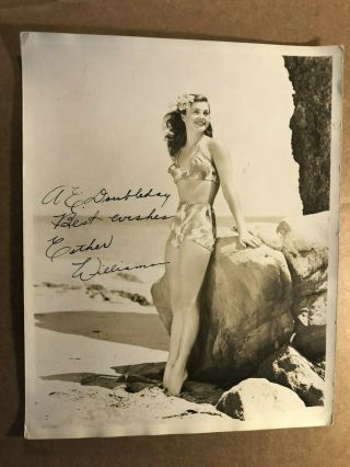 Esther Williams Rare Early Autographed 8/10 Pin - Up Photo 1940s