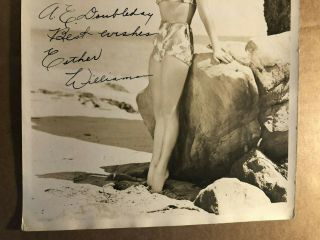Esther Williams Rare Early Autographed 8/10 Pin - Up Photo 1940s 3