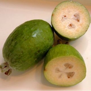 Pineapple Guava Guavasteen Feijoa Rare Fruit 20 Seeds
