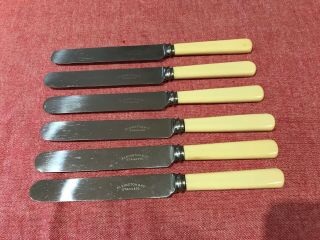 Good Set Of 6 Elkington Faux Bone Butter Side Knives 20.  5cm Round Ended Blades