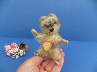 Vintage Antique German Steiff Raccy Racoon & Tag Mohair Toy Wood Straw Fill Bear