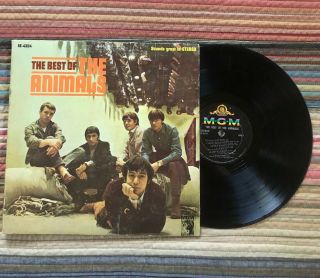 The Animals The Best Of The Amimals Lp Mgm Se 4324 Orig Stereo Rare