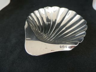 Antique Solid Silver Scallop Shell Butter Dish Sheffield 1908 35g