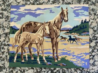 Vintage Paint By Number? 8”x 10” Horse Horses Pony Artwork Painting Mare Foal