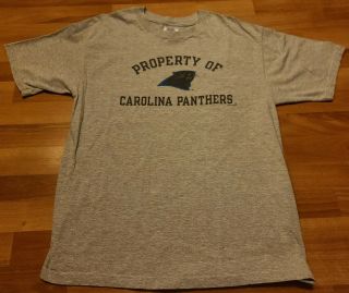 Vintage Rare Retro 90s Carolina Panthers Champion Nfl Shirt Mens Large 1996