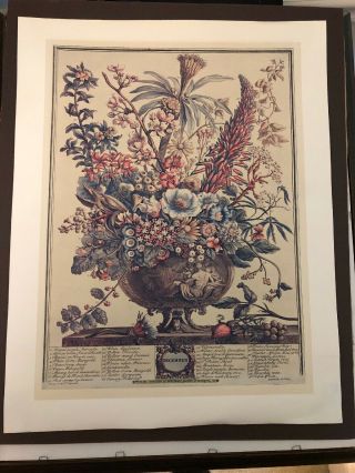 Vintage Floral Print By Rob Furber Gardiner Of Kensington 1730 - December
