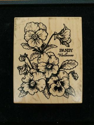 Pansy Botanical Flowers Large Wood - Mount Rubber Stamp - Psx K - 774 Rare