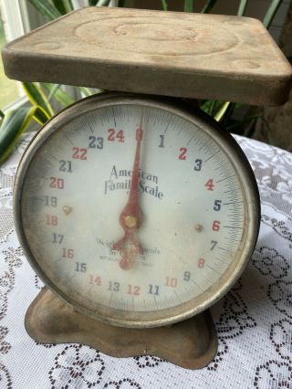 Vintage American Family Kitchen Scale 25 Pounds Green Rustic Farmhouse