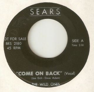 The Wild Ones Come On Back Sears Promo Rare Wigan Casino Northern Soul Usa 45
