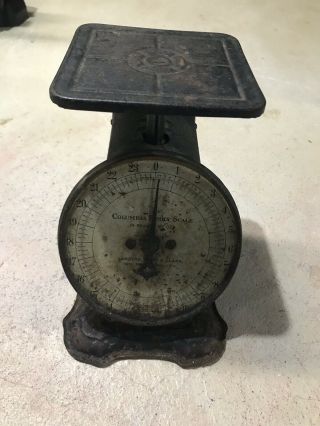 Vintage Antique Columbia Family Scale 24lbs - Landers,  Frary & Clark -