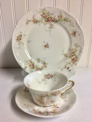 Antique Theodore Haviland Limoges France Wild Roses Tea Cup/saucer & 8.  5” Plate
