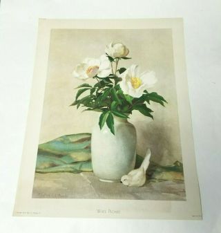 Vintage Botanical Art Print White Peonies Flower Lithograph 12x16 Nelly Murphy