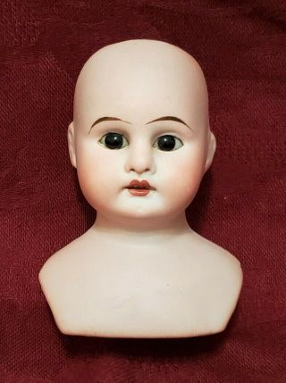 Small Antique German Bisque Doll Head W/ Eyes