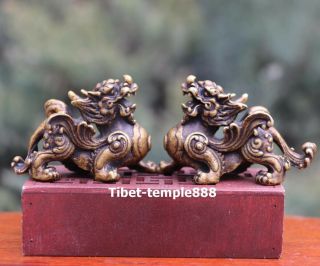 6.  5 Cm China Pure Bronze Foo Dog Lion Kylin Dragon Wealth Fengshui Animal Statue