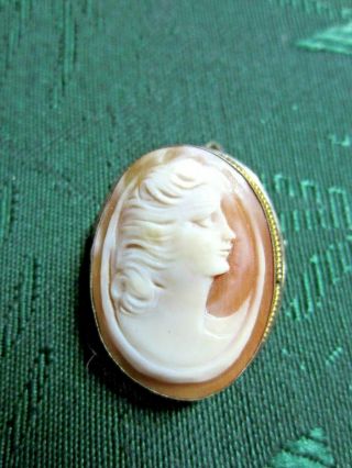 Antique Shell Cameo Hand Carved Framed - Brooch And Loop For Necklace