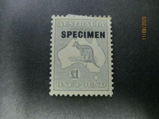 Kangaroo Stamps: £1 Grey Specimen C Of A Watermark - Rare - (h426)