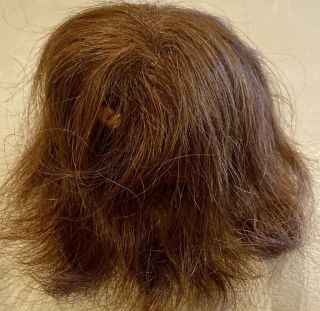 14 Antique 8 " Brunette Human Hair Doll Wig