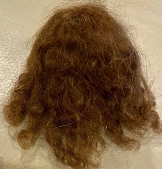 80 5 - 6 " Vintage Brunette Mohair Doll Wig For Antique Bisque Doll