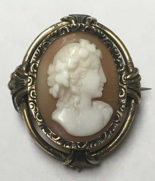 Antique Victorian Gold Filled Carved Shell Signed ? Cameo Brooch C Clasp G106