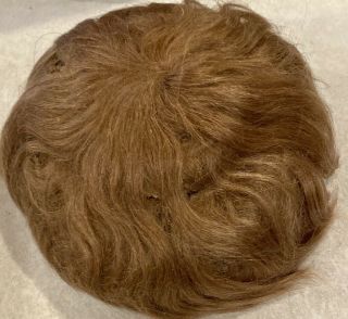 107 11 " Mohair Doll Wig For Antique Bisque Doll