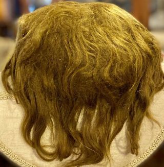103 Antique 13 - 14 " Mohair Doll Wig For Antique Bisque Doll