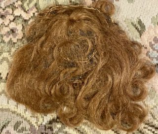 31 6 - 7 " Antique Handtied Auburn Mohair Wig For Antique Bisque Doll