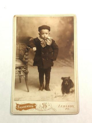 Antique Cabinet Photo - Small Boy With Pet Dog Sanderson,  Lebanon,  Pa