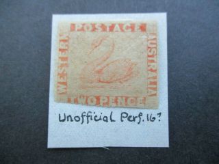Western Australia Stamps: 2d Orange Swan Imperf - Rare - (j139)