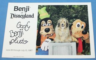 Rare Vintage Disneyland Publicity Photo Benji At Disneyland 7 " X 5 " 1987