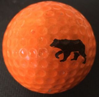 Very Rare Logo Golf Ball Big Sky Grizzly Rare Vintage Hunter Orange