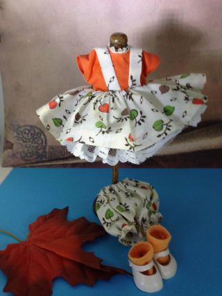 Fall Dress For Vintage Vogue Ginny Tagged