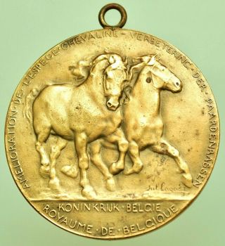 1921 Antique Bronze Belgian Thoroughbred Horses Art Medal By Jul.  Lagae 1921