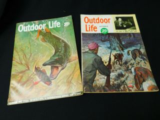2 Vintage Outdoor Life Magazines October 1950 June 1952 Worlds Biggest Bears