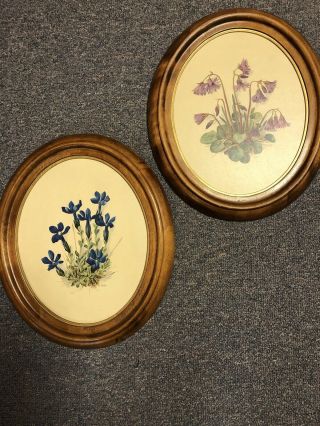 2 Vintage Botanical Morlin Floral Prints Wood Oval Frames Amtr Pair Wall Mount
