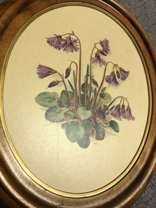 2 Vintage Botanical Morlin Floral Prints Wood Oval Frames AMTR Pair Wall Mount 2