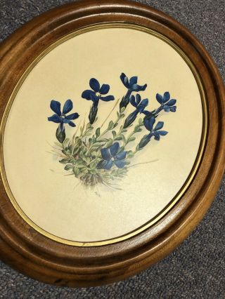 2 Vintage Botanical Morlin Floral Prints Wood Oval Frames AMTR Pair Wall Mount 3