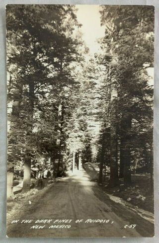 Antique Postcard Rppc Real Dark Pines Of Ruidoso Mexico Forest Trees