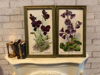 Pair Vintage Dollhouse Framed Botanical Prints - “pansy & Blue Moon " 1:12