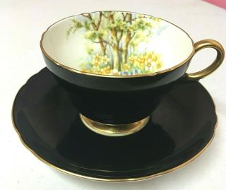 Rare Black Shelley Daffodil Time Teacup Tea Cup & Saucer Set Fine Bone China