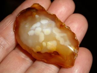 See Video Polished Rare Enhydro River Agate W/moving Bubble 18.  7g
