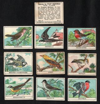 Song Birds Rare French Card Set (series 3) Martineau 1930s Finch Robin Swallow