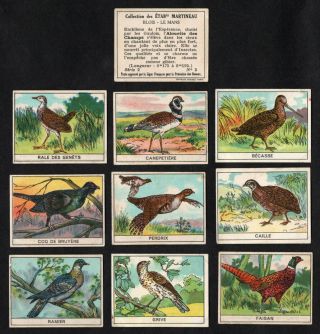 Game Birds Rare French Card Set (series 2) Martineau 1930s Pigeon Pheasant Coq