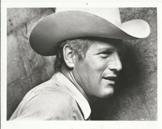 Paul Newman In Cowboy Hat 10x8 Pictorial Press Rare Archive Photo Pocket Money