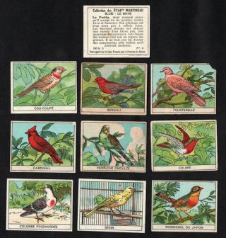 Exotic Birds Rare French Card Set (series 5) Martineau 1930 