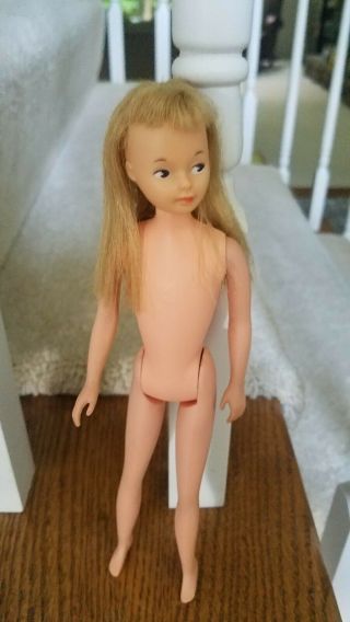 Vintage American Character Cricket Doll Tressy 
